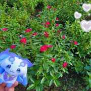 ヒメ日記 2025/10/28 15:00 投稿 紗良 変態プレイ専門店 マニアック女人館 本館