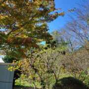 ヒメ日記 2025/11/03 12:30 投稿 紗良 変態プレイ専門店 マニアック女人館 本館