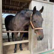 ヒメ日記 2025/11/18 16:30 投稿 紗良 変態プレイ専門店 マニアック女人館 本館