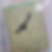 ヒメ日記 2025/11/23 14:15 投稿 紗良 変態プレイ専門店 マニアック女人館 本館