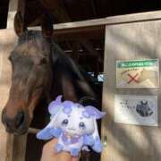 ヒメ日記 2026/01/01 15:00 投稿 紗良 変態プレイ専門店 マニアック女人館 本館