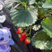 ヒメ日記 2026/01/15 12:30 投稿 紗良 変態プレイ専門店 マニアック女人館 本館