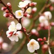 ヒメ日記 2026/02/15 17:10 投稿 紗良 変態プレイ専門店 マニアック女人館 本館