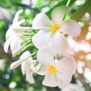 ヒメ日記 2026/03/14 09:30 投稿 紗良 変態プレイ専門店 マニアック女人館 本館