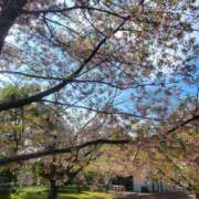 ヒメ日記 2026/03/16 16:08 投稿 紗良 変態プレイ専門店 マニアック女人館 本館