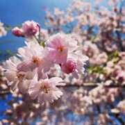 ヒメ日記 2026/03/23 21:15 投稿 紗良 変態プレイ専門店 マニアック女人館 本館