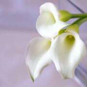 ヒメ日記 2026/03/27 18:54 投稿 紗良 変態プレイ専門店 マニアック女人館 本館