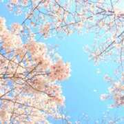 ヒメ日記 2026/04/03 10:31 投稿 紗良 変態プレイ専門店 マニアック女人館 本館