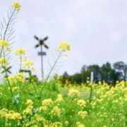 ヒメ日記 2026/04/09 10:31 投稿 紗良 変態プレイ専門店 マニアック女人館 本館