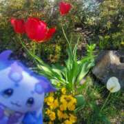 紗良 お昼休憩！ 変態プレイ専門店 マニアック女人館 本館