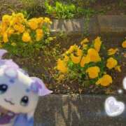 ヒメ日記 2026/04/19 13:30 投稿 紗良 変態プレイ専門店 マニアック女人館 本館