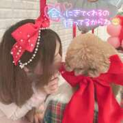 ヒメ日記 2025/12/16 11:49 投稿 神谷　てんか 奥様宅配便　神栖支店