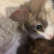 ヒメ日記 2025/03/24 16:02 投稿 はるみ 千葉サンキュー