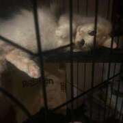 ヒメ日記 2025/04/08 18:23 投稿 はるみ 千葉サンキュー