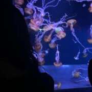 ヒメ日記 2025/05/10 02:42 投稿 はるみ 千葉サンキュー