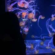 ヒメ日記 2025/05/26 12:13 投稿 はるみ 千葉サンキュー