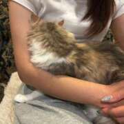 ヒメ日記 2025/06/26 02:00 投稿 はるみ 千葉サンキュー