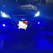 ヒメ日記 2025/07/29 18:46 投稿 はるみ 千葉サンキュー