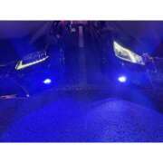 ヒメ日記 2025/11/14 13:16 投稿 はるみ 千葉サンキュー