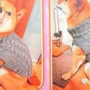 ヒメ日記 2026/02/24 10:04 投稿 皐月(さつき) PLUS難波店