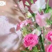 ヒメ日記 2026/03/12 10:40 投稿 皐月(さつき) PLUS難波店