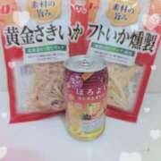 ヒメ日記 2025/04/30 20:48 投稿 みさき 厚木人妻城