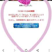 ヒメ日記 2025/11/22 11:52 投稿 みさき 厚木人妻城