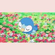 ヒメ日記 2025/05/17 05:31 投稿 コトハ マテリアル