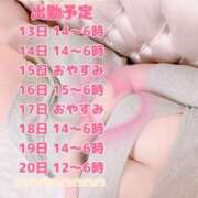 ヒメ日記 2025/04/11 16:01 投稿 まなか 丸妻 新横浜店