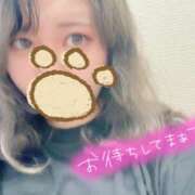 ヒメ日記 2025/06/29 15:27 投稿 まなか 丸妻 新横浜店