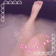 ヒメ日記 2025/09/06 15:00 投稿 まなか 丸妻 新横浜店