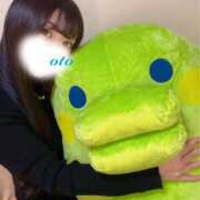 ヒメ日記 2025/05/25 02:57 投稿 おと ワンダーホール24