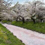 ヒメ日記 2025/04/16 16:36 投稿 みさ 待ちナビ