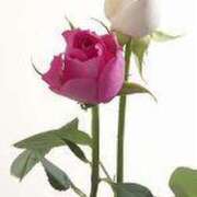 ヒメ日記 2025/06/15 11:05 投稿 みさ 待ちナビ