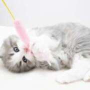 ヒメ日記 2025/09/05 05:45 投稿 みさ 待ちナビ