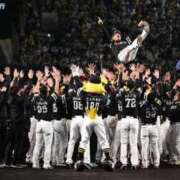 ヒメ日記 2025/10/30 23:17 投稿 みさ 待ちナビ