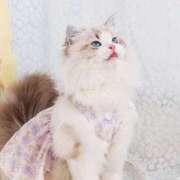 ヒメ日記 2026/03/29 10:17 投稿 みさ 待ちナビ