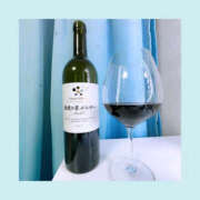 ヒメ日記 2025/09/20 06:38 投稿 いちか ハピネス東京