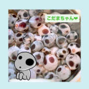 ヒメ日記 2025/09/21 06:31 投稿 いちか ハピネス東京