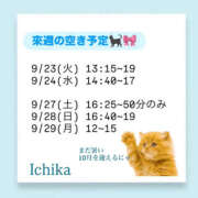 ヒメ日記 2025/09/22 12:37 投稿 いちか ハピネス東京