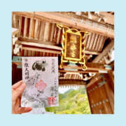 ヒメ日記 2025/09/23 06:45 投稿 いちか ハピネス東京