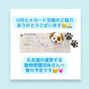 ヒメ日記 2025/11/03 06:37 投稿 いちか ハピネス東京