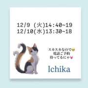 ヒメ日記 2025/12/08 09:07 投稿 いちか ハピネス東京