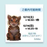 ヒメ日記 2025/12/12 08:08 投稿 いちか ハピネス東京