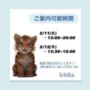 ヒメ日記 2026/02/10 10:00 投稿 いちか ハピネス東京