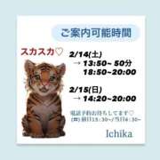 ヒメ日記 2026/02/13 10:54 投稿 いちか ハピネス東京