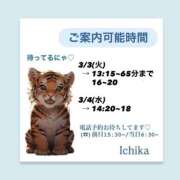 ヒメ日記 2026/03/02 11:27 投稿 いちか ハピネス東京