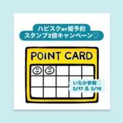ヒメ日記 2026/03/14 06:35 投稿 いちか ハピネス東京