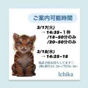 ヒメ日記 2026/03/16 10:17 投稿 いちか ハピネス東京