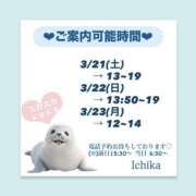 ヒメ日記 2026/03/20 09:57 投稿 いちか ハピネス東京